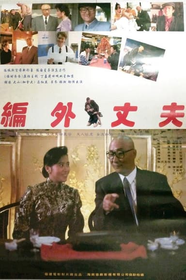 编外丈夫 poster