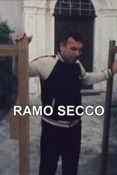 Zibaldino 86 Ramo secco poster
