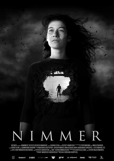 Nimmer poster