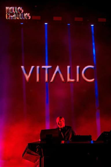 Vitalic - Concert aux Vieilles Charrues poster