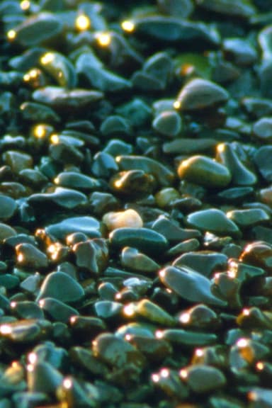 Jasper Beach and The Salt Marsh poster