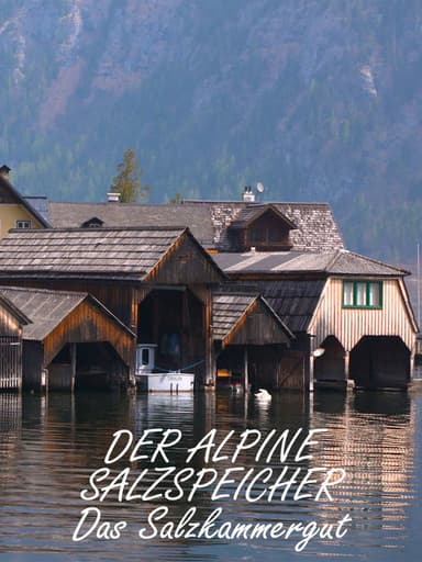 Der alpine Salzspeicher poster