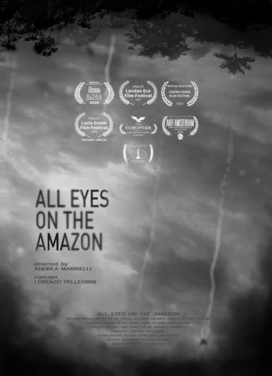 All Eyes On The Amazon poster