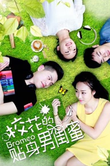 校花的贴身男闺蜜 poster