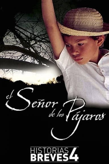 El señor de los pájaros poster