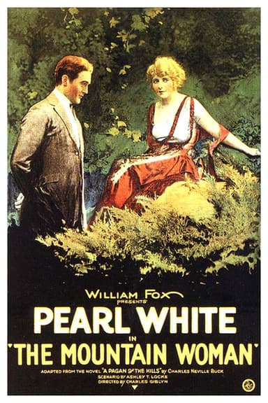 The Mountain Woman poster