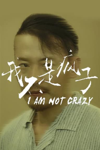 我不是疯子 poster