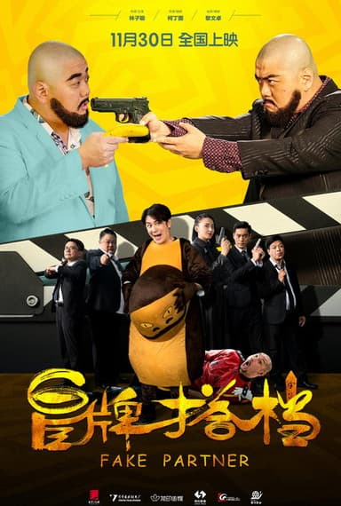 Fake Partner poster