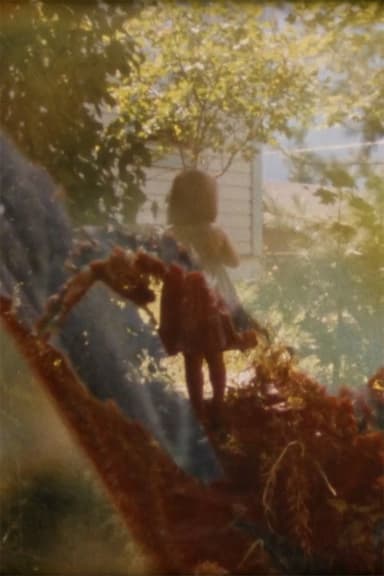In the Backyarden poster