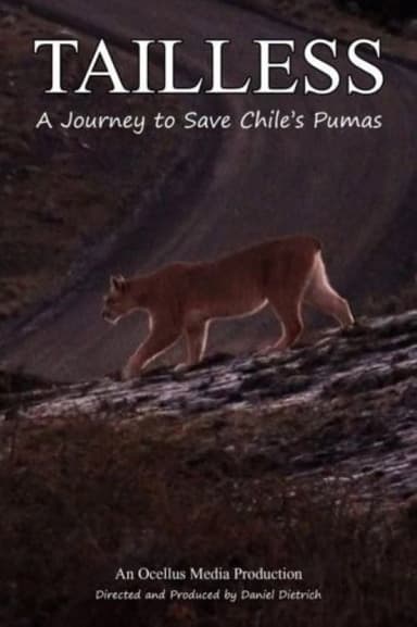 Tailless poster