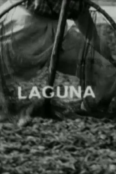 Laguna poster