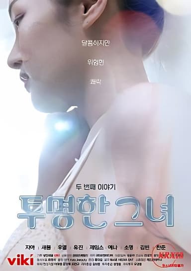 The Transparent Girls Second Story poster