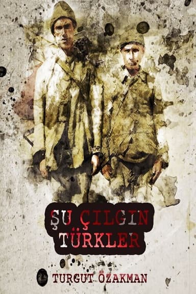Şu Çılgın Türkler poster