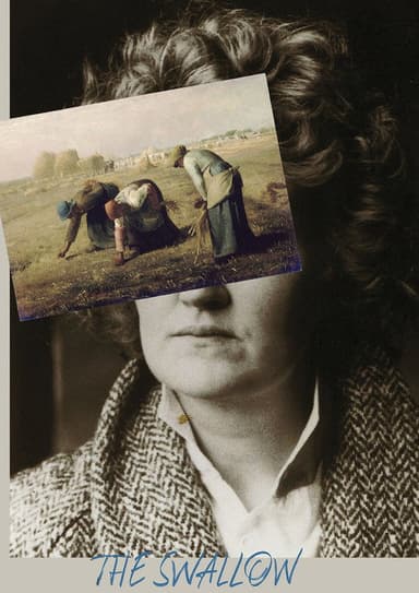 The Swallow poster