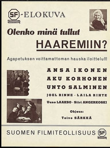 Olenko minä tullut haaremiin poster