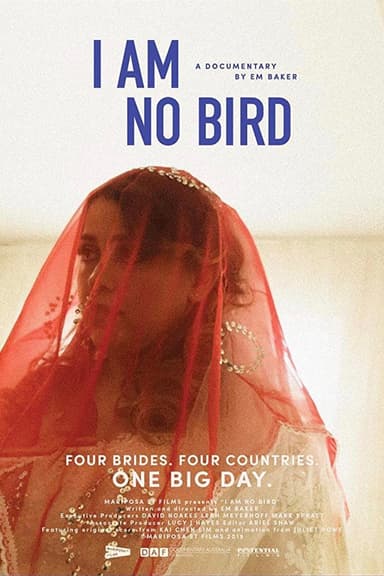 I Am No Bird poster