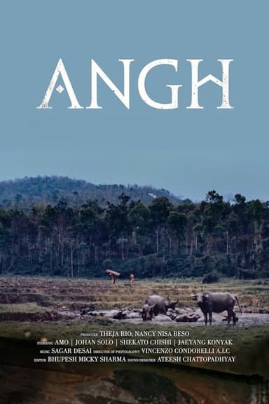 Angh poster