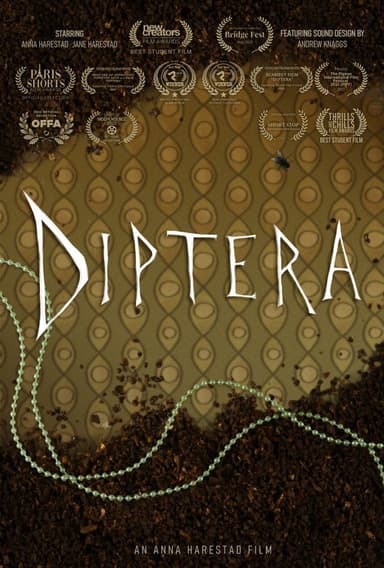 Diptera poster