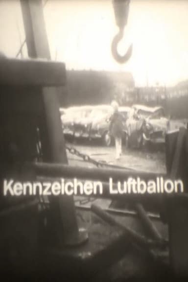 Kennzeichen Luftballon poster