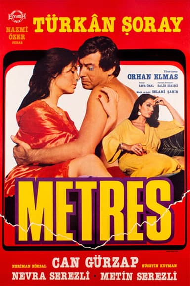 The Mistress poster