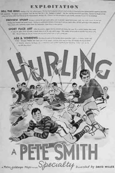 Hurling poster