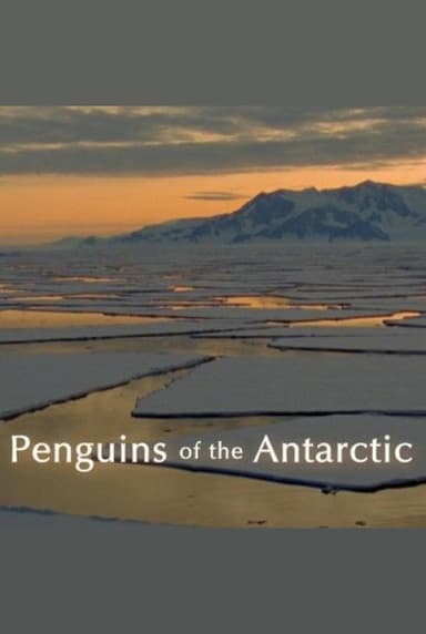 Penguins of the Antarctic poster