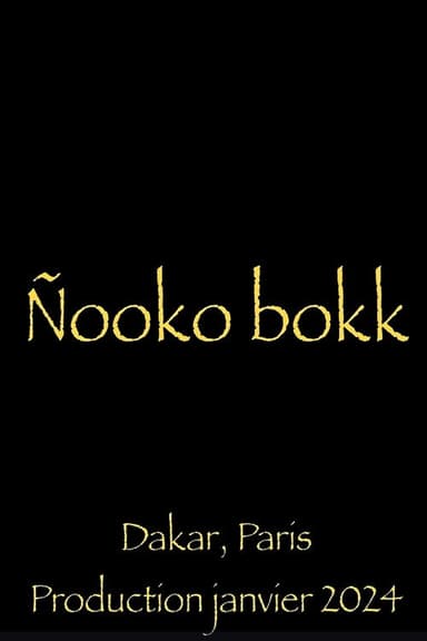 Nooko Bokk poster