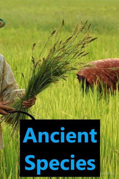 Ancient Species poster