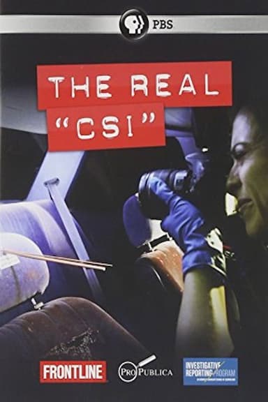 The Real CSI poster