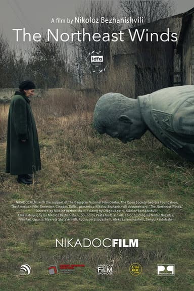 The Northeast Winds poster
