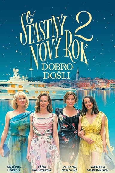 Happy New Year 2 poster