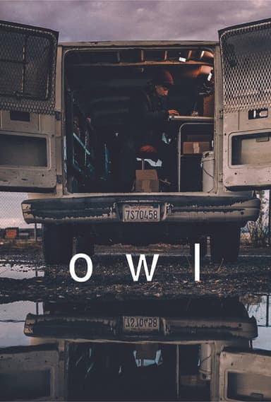 Owl poster