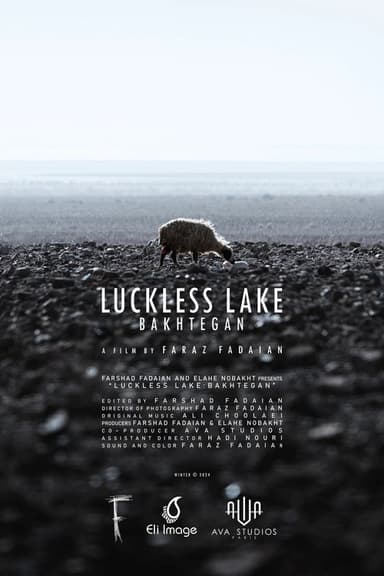Luckless Lake poster