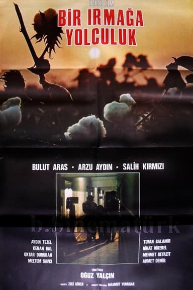 Bir Irmağa Yolculuk poster