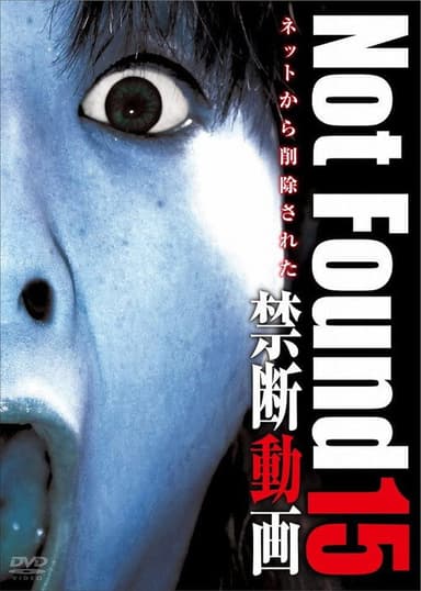 Not Found 15 poster