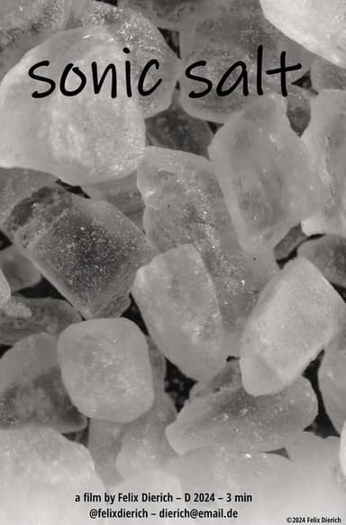sonic salt poster