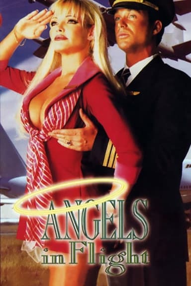 Angels in Flight poster