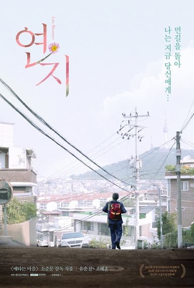 Late Bloomer poster