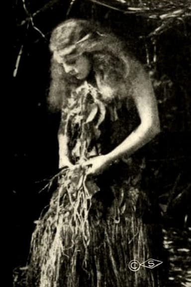 The Royal Slave poster