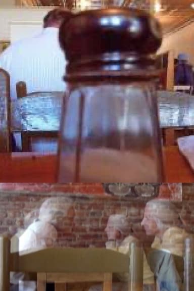 THE SALT SHAKER AND THE MOON poster