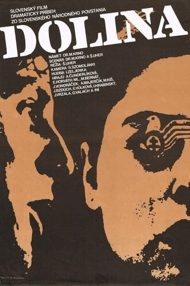 Dolina poster
