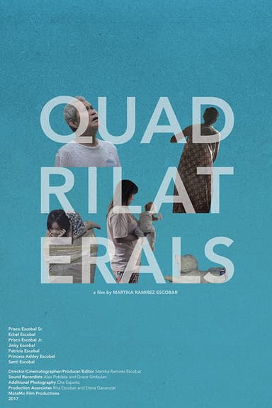 Quadrilaterals poster