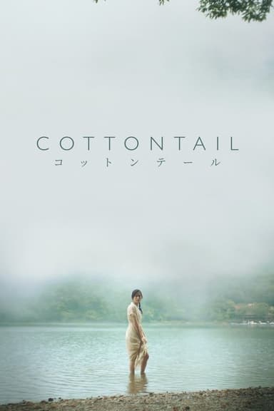 Cottontail poster