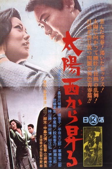 The Sun Rises in the West poster