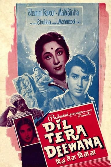 Dil Tera Diwana poster