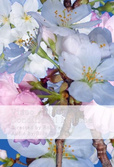 Video Art for Conditional Malaise poster