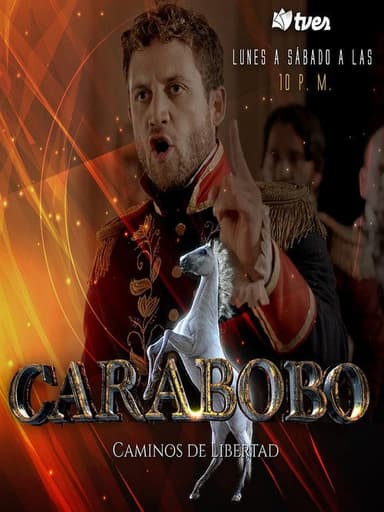 Carabobo Caminos De Libertad poster