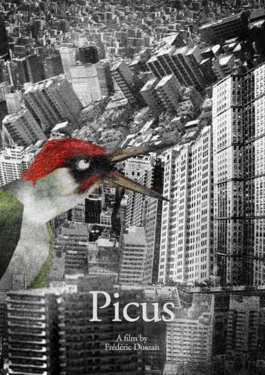 Picus poster