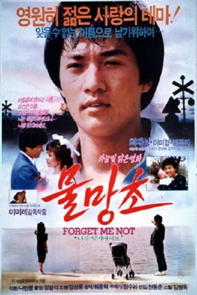 Forget-me-nots poster