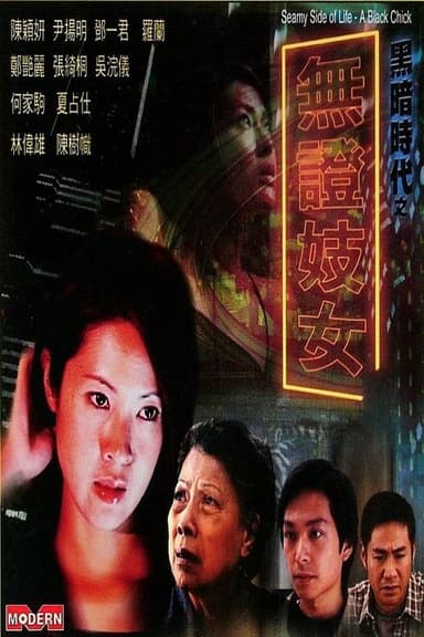 Seamy Side Of Life - A Black Chick poster